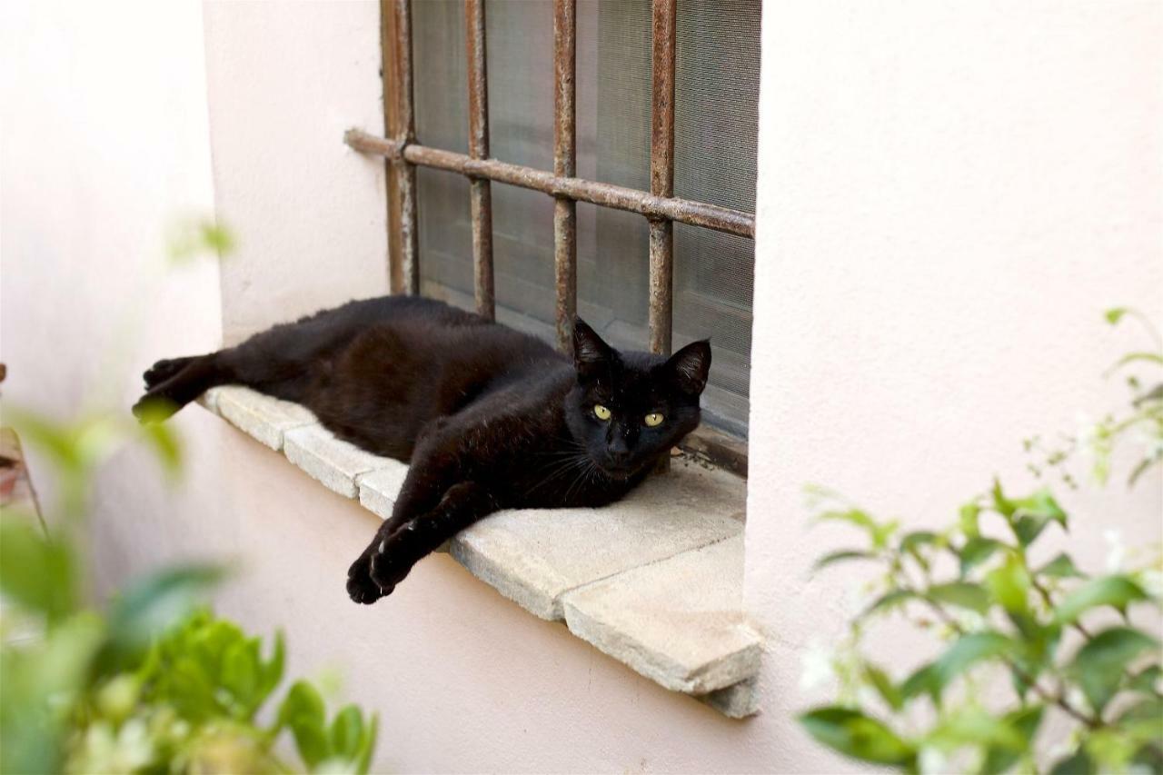 Al Guado Di Assisi B&B Bastia Umbra Zewnętrze zdjęcie